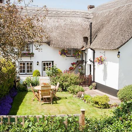Farmhouse Cottage Sidmouth Bagian luar foto
